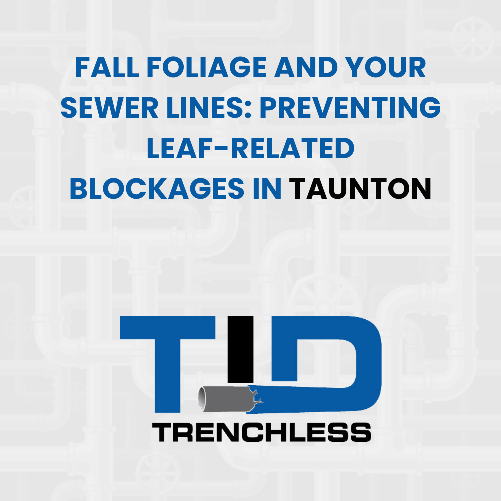 fall leaves sewer blockage Taunton