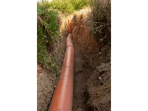 tree roots in sewer line