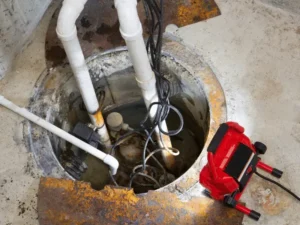 high water table basement