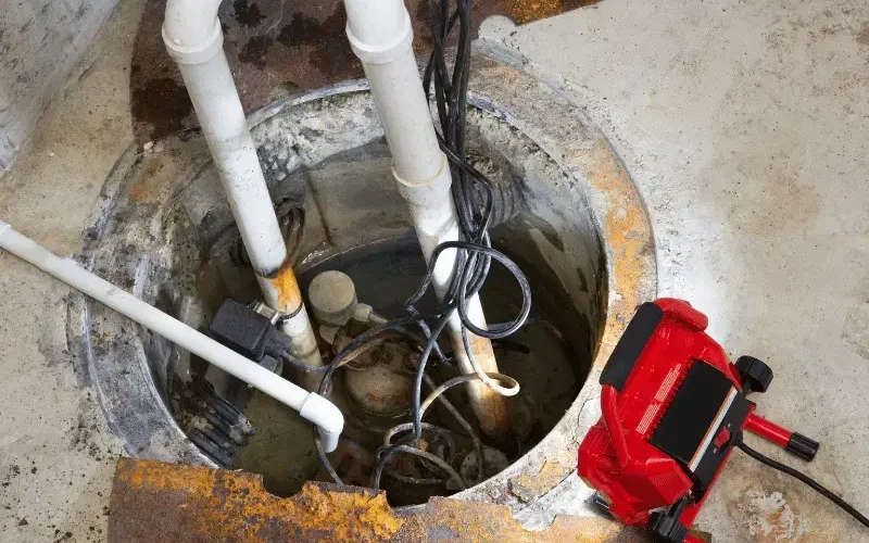 high water table basement